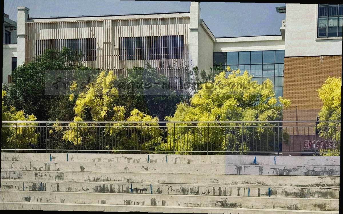 叠放的数据表面板与导出文件卡片示意图形